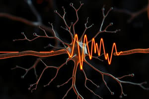 Neuroscience: Resting Potential Overview