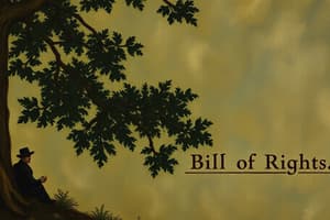 Bill of Rights Quiz - Key Rights and Protections