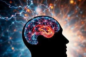 Altered Consciousness and Epilepsy Overview