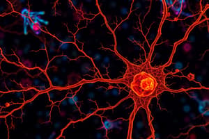 L23. Neuroscience - Cytology of Neurons & Glia