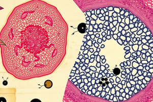 Histology of Epithelial Tissues