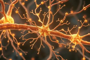 Neuromuscular Junction Signaling