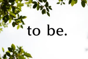 Present Simple Tense of 'To Be'