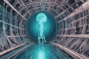 X-ray Attenuation Mechanisms