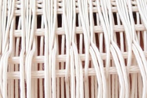 Textile Weaving: Warp Rib Techniques