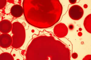 Hematology: Supravital Stains and Erythropoiesis