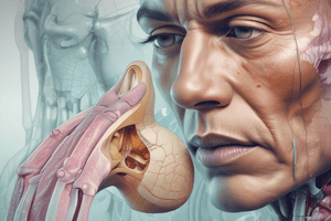 Nasal and Paranasal Sinuses Imaging Quiz