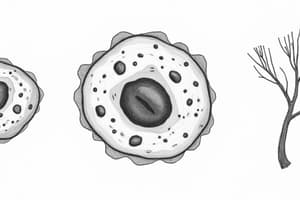 Cell Biology: Unicellular, Multicellular, Eukaryotic Cells