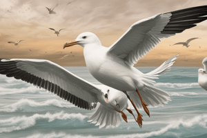 Seagulls: Habitat, Diet, and Behavior