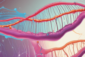 Glycolysis: Allosteric Regulation and Glucose Uptake