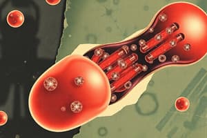 Transport Vesicles in Eukaryotic Cells