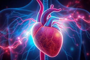 Circulation through Heart: Quiz