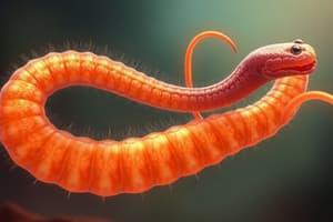 Filarial Worms and African Trypanosomiasis Quiz