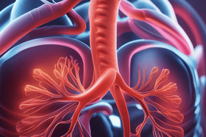 Chapter 19 Respiratory Emergencies