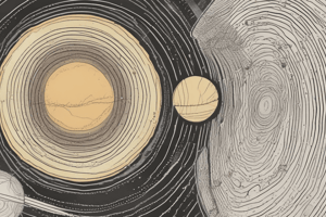 Layers of the Sun - Structure Quiz