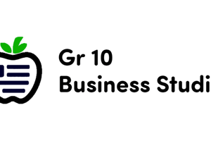 Business Studies June exam P2 (Mix)