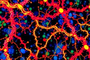 Cell-Matrix Junctions and Integrins