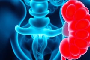 Renal Calculi: Etiology and Risk Factors