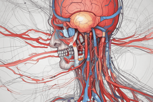 Neurofisiología: Flujo Sanguíneo Cerebral