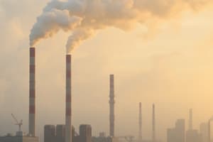 Air Pollution: Causes and Effects Quiz