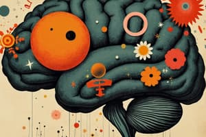 PSY 231 Chapter 9: Language Development Part 2