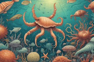 Marine Invertebrates Overview