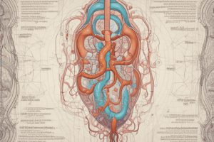 Nephron Structure and Function Quiz