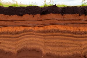 Soil Formation and Erosion Quiz