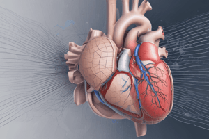 Autoevaluacion 4-4 Ecocardiografía y Cateterismo en Estenosis de la Tricúspide