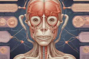 Adrenal Gland Development in Newborns