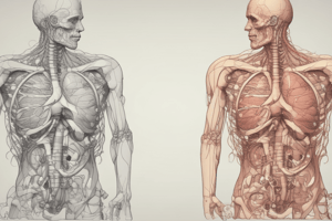 The Respiratory System