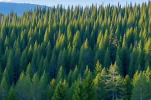 Taiga and Coniferous Forests