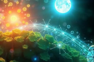 Photosynthesis Overview and Process