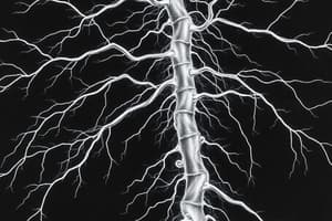 Nervous System 1: Motor Neurons & Movement