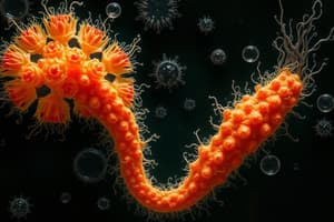 Vibrio Species: Characteristics and Identification