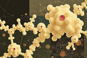 Polysaccharides Overview