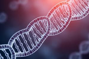 Nucleic Acid Structure and DNA Replication