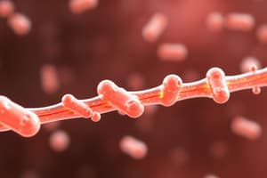 Pharmacokinetics Overview