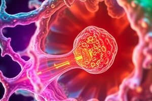 Cell Structure and Function Quiz