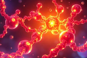 Biochemistry Chapter 1: The Chemistry of Life