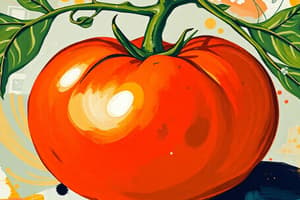 Tomato: History and Culinary Uses