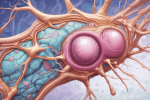 Apocrine Glands Structure and Development