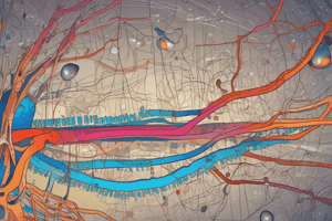 Y1S1 010 III Physiology Neuroscience: Resting Membrane Potential and the Goldman Equation