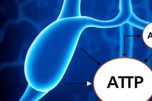 1.7: Cellular Respiration