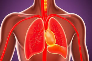 Circulatory System Overview