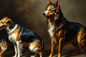 Canine History & Evolution Quiz