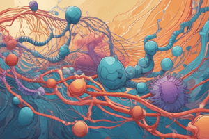 Protein Synthesis and Ribosome Function