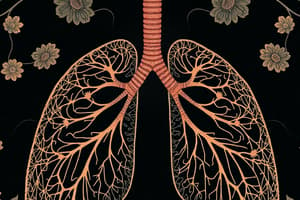 Respiratory System Quiz