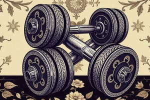 Adjustable Dumbbells Overview