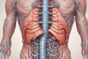 26.2 Upper Gastrointestinal Tract and Associated Accessory Digestive Structures